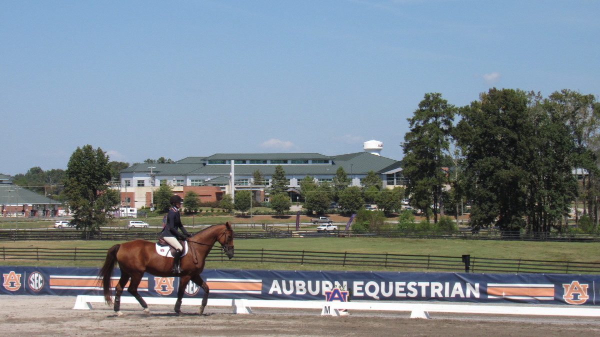 Auburn Equestrian