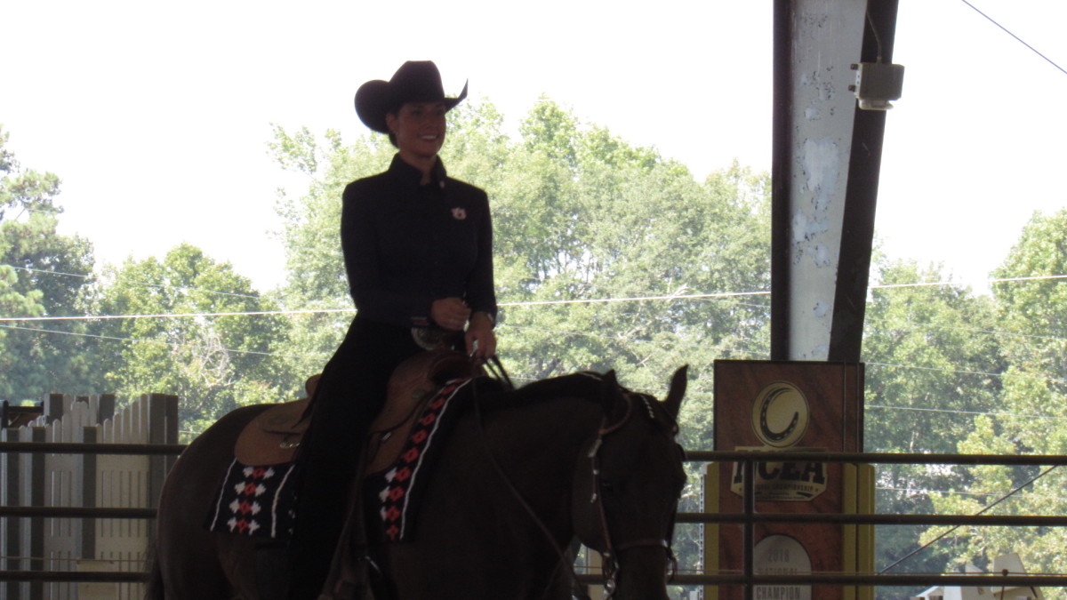 Auburn Equestrian