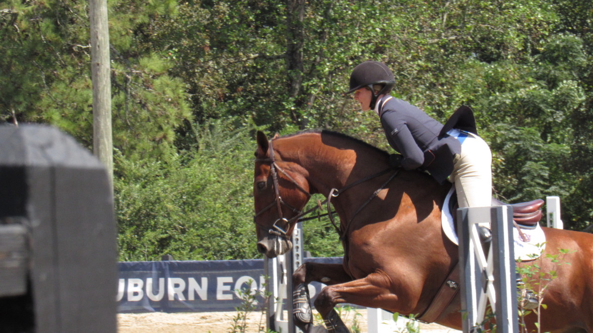 Auburn Equestrian