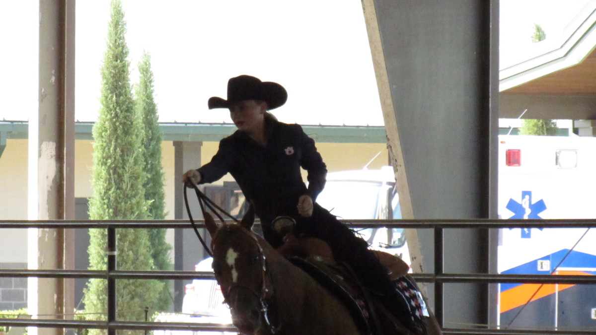 Auburn Equestrian