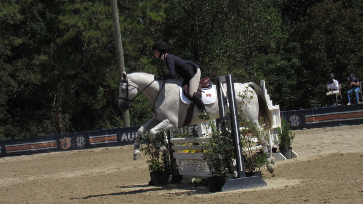 Auburn Equestrian