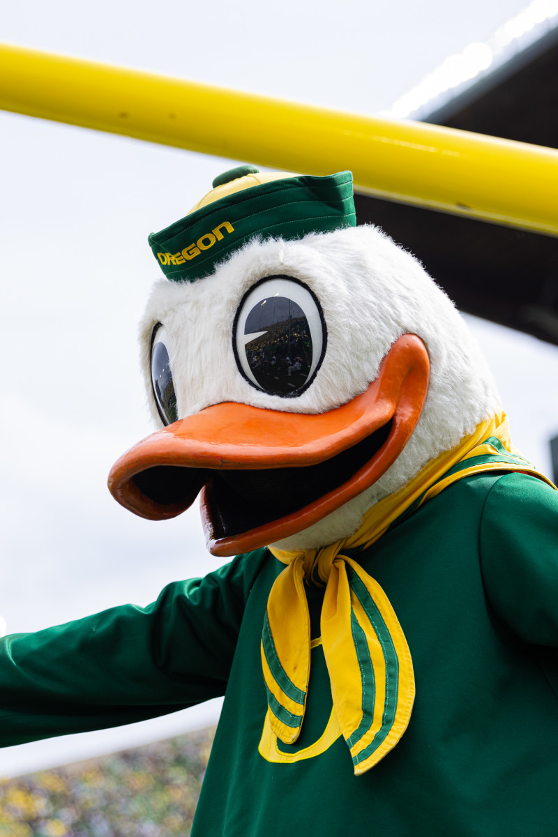 Oregon Duck 1