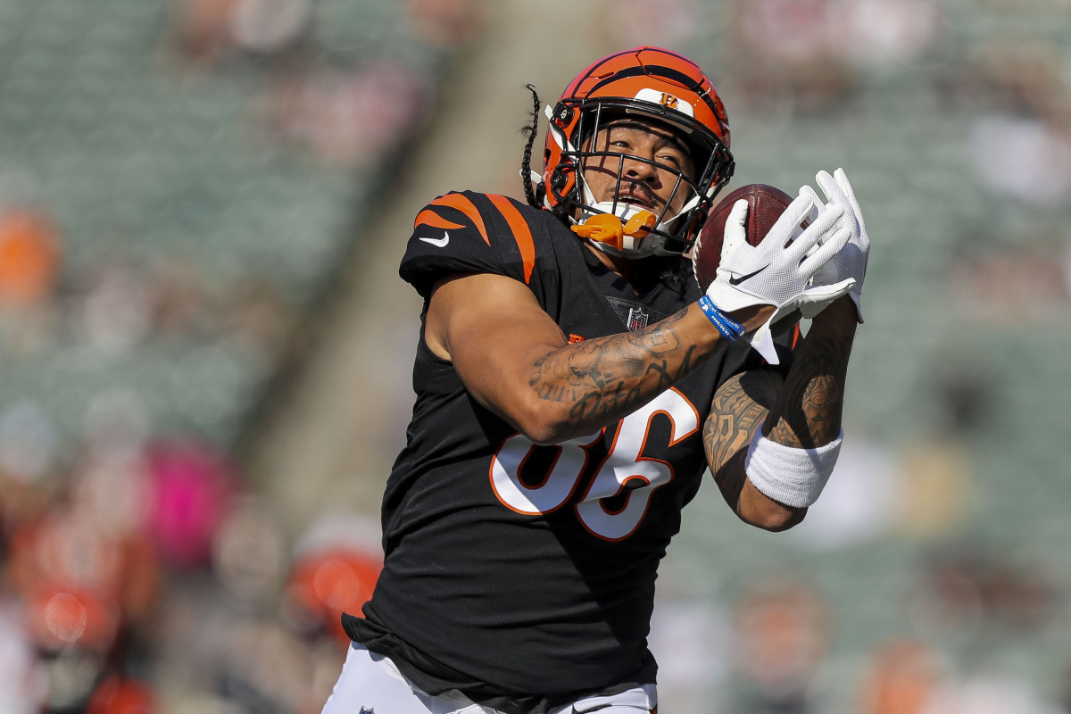 Cincinnati Bengals tight end Devin Asiasi (86) reacts during warm ups  before an NFL football game against the Carolina Panthers, Sunday, Nov. 6,  2022, in Cincinnati. (AP Photo/Emilee Chinn Stock Photo - Alamy