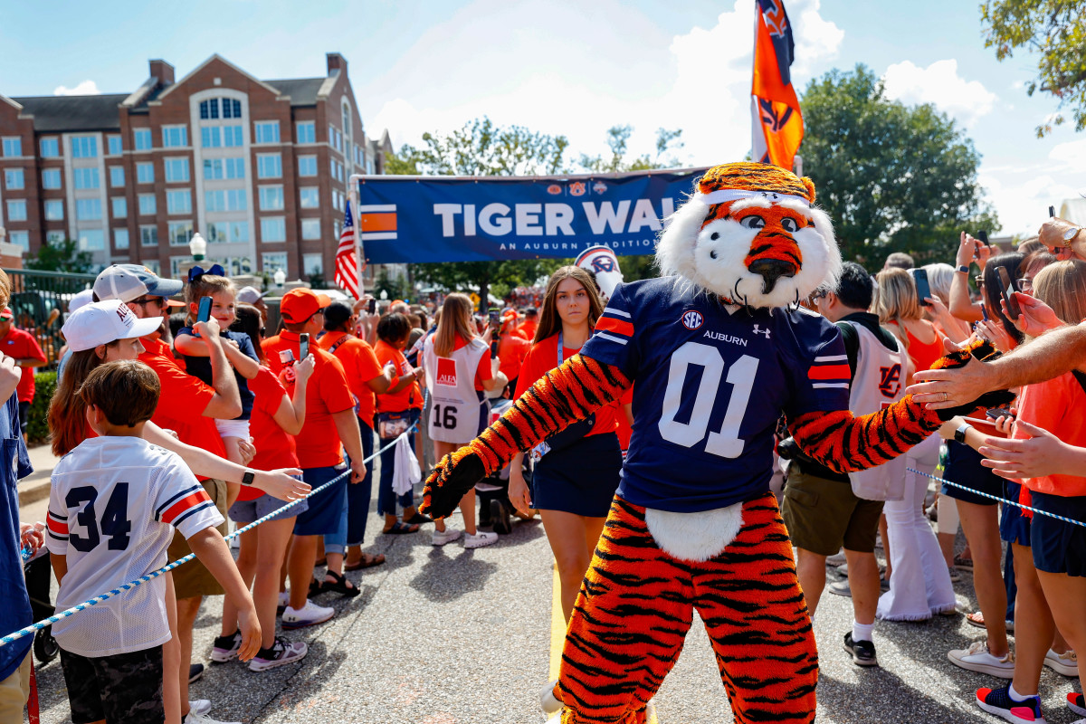 Auburn Tigers Tiger Walk before Auburn vs Georgia. Eric Starling/Auburn Daily