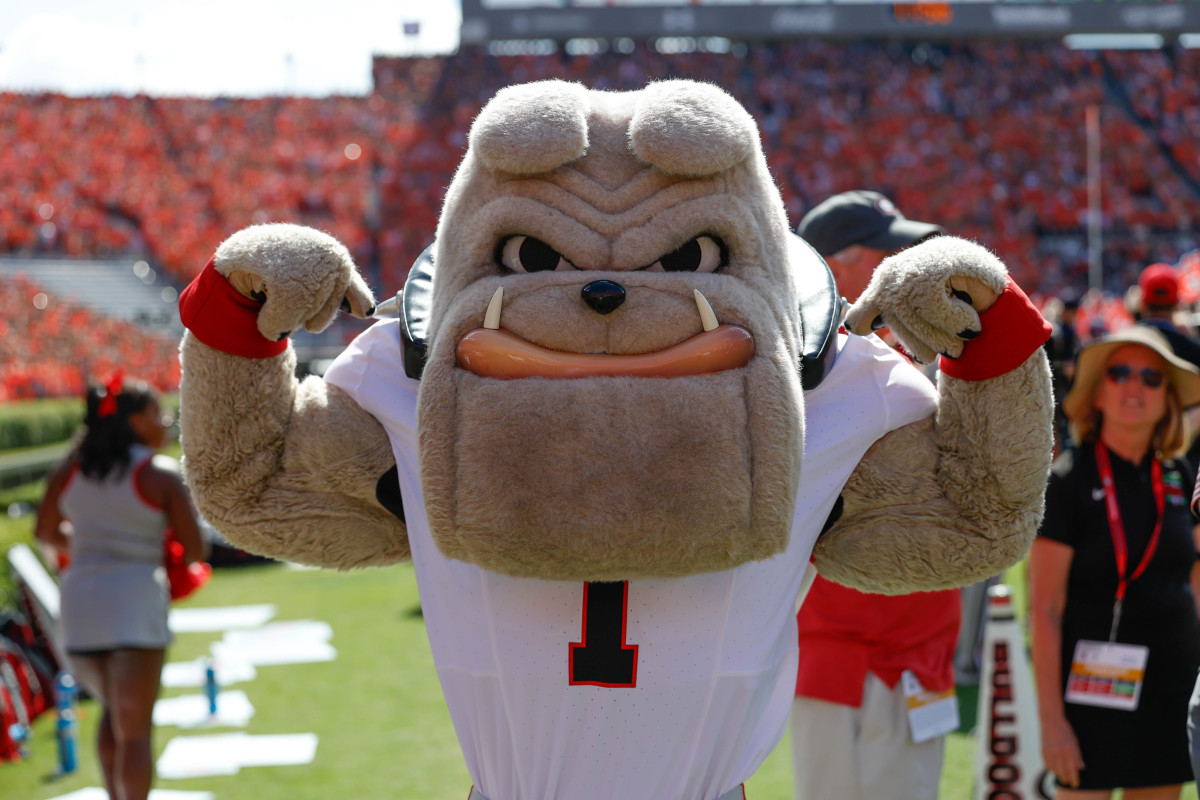 UGA Mascot