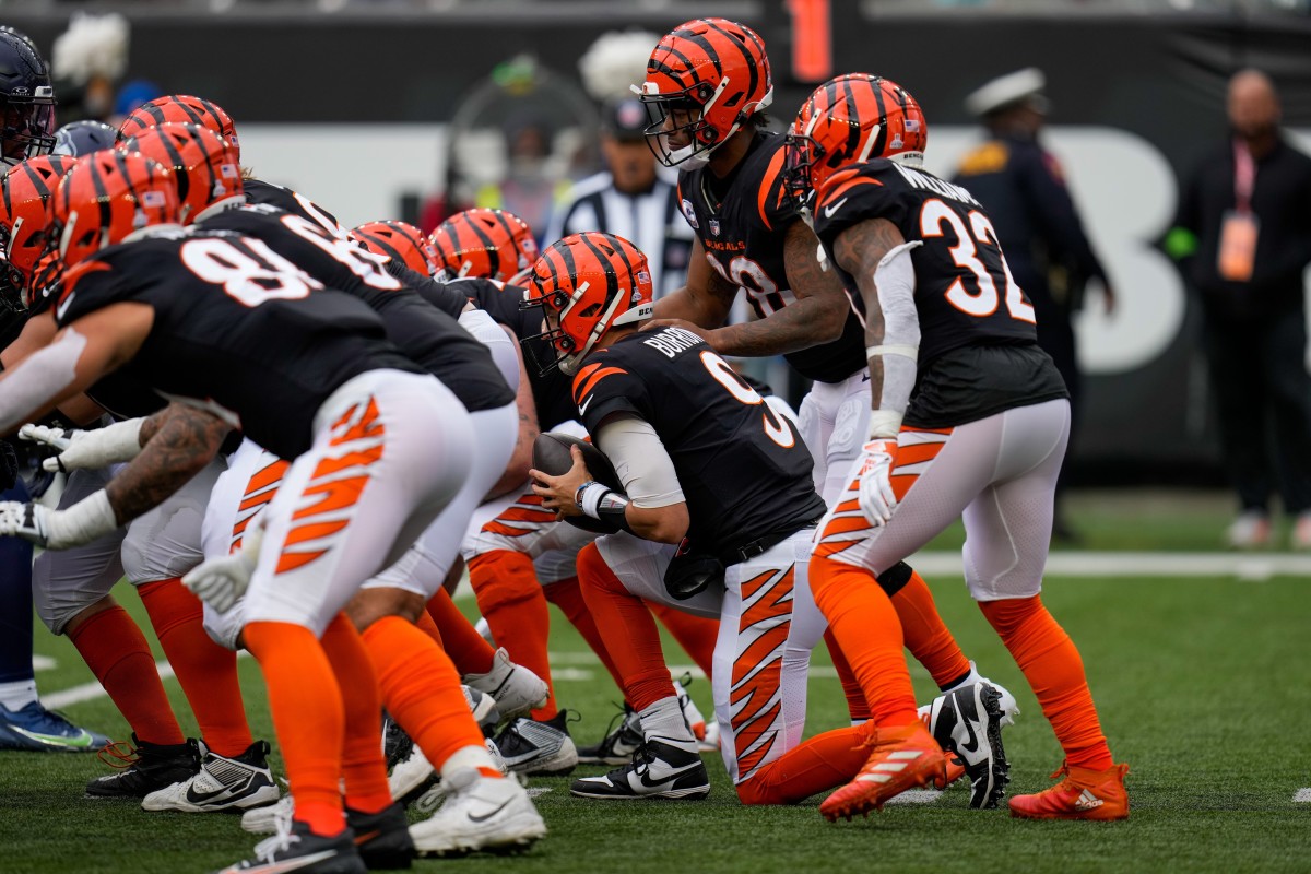 Look: Cincinnati Bengals Quarterback Joe Burrow Leads NFL Quarterbacks ...