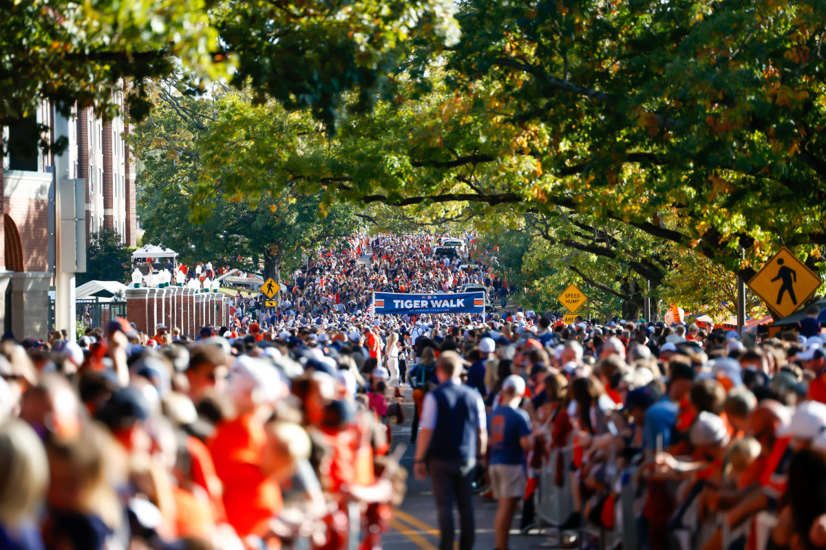 Tiger Walk