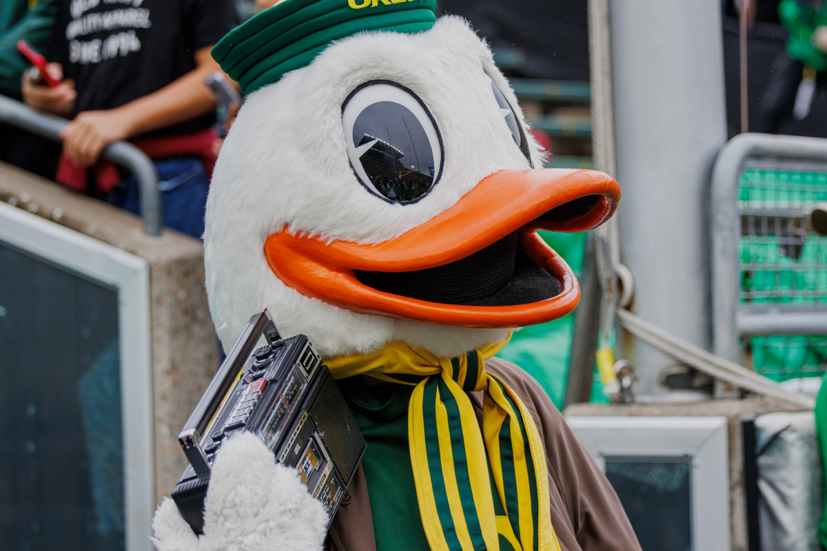 Oregon Duck 1