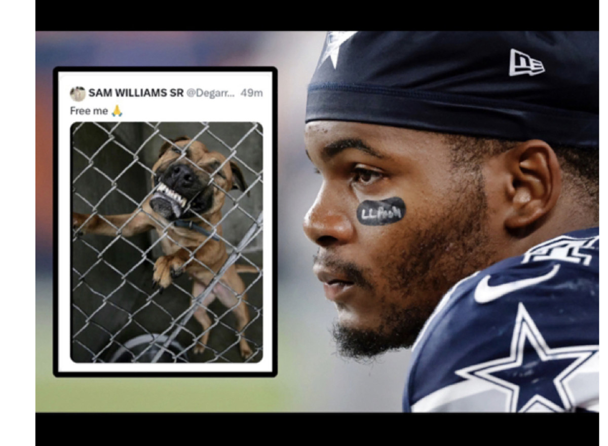 dog dressed like a football player with a bad attitude Stock Photo