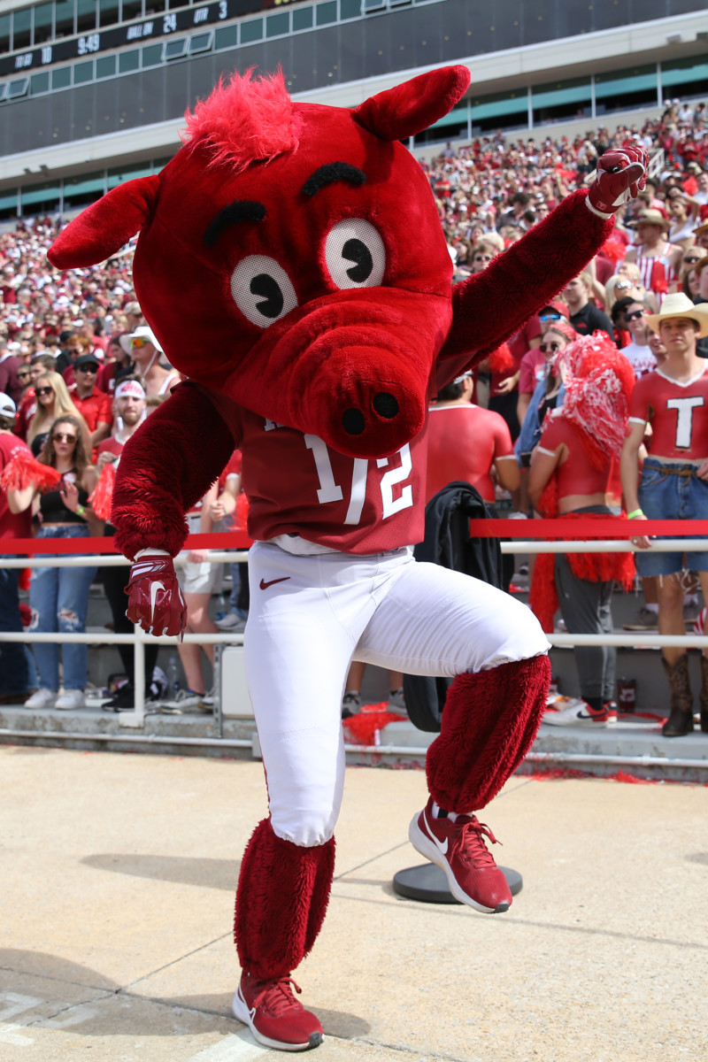 Oct 21, 2023; Fayetteville, Arkansas, USA; Arkansas Razorbacks mascot performs during a timeout in the second half against the Mississippi State Bulldogs at Donald W. Reynolds Razorback Stadium. Mississippi State won 7-3. Mandatory Credit: Nelson Chenault-USA TODAY Sports