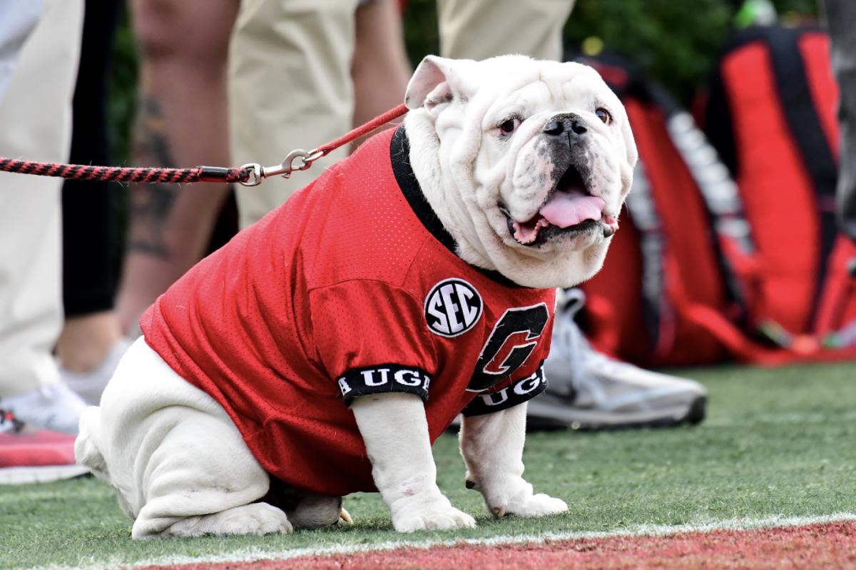 Georgia Bulldogs Vs Florida State Seminoles Orange Bowl; Previous ...