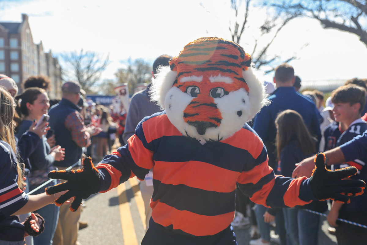 Aubie the Tigers