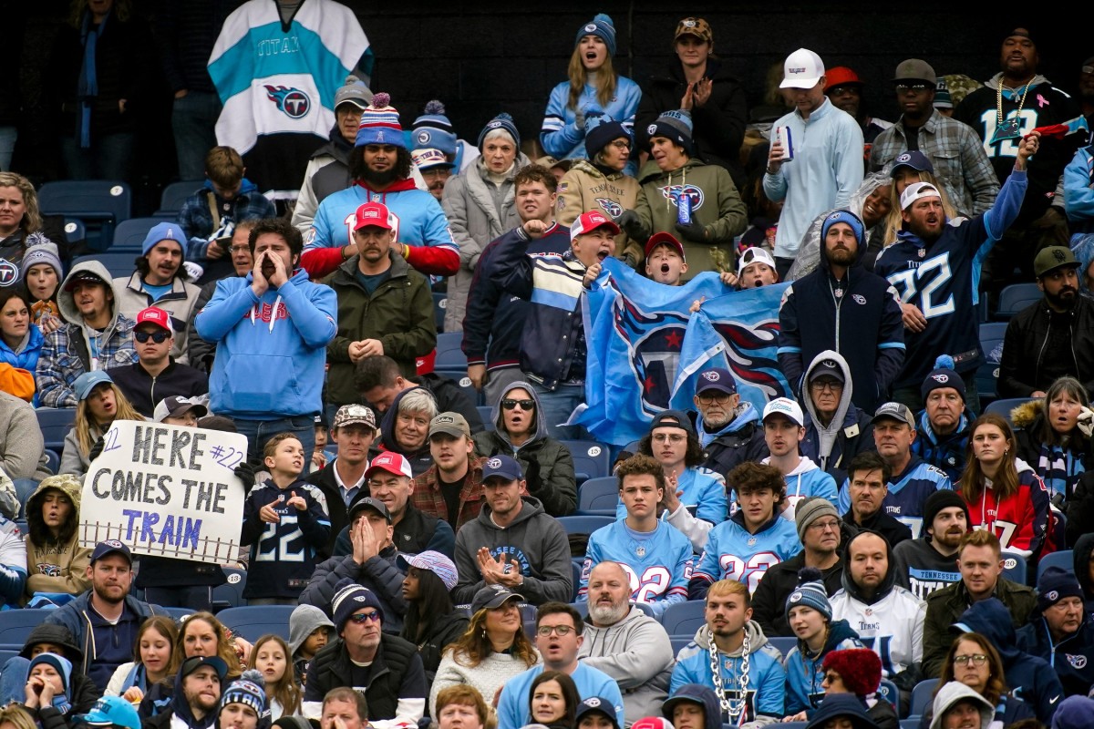 Tennessee Titans fans cheer against the Carolina Panthers during the second quarter at Nissan Stadium.  