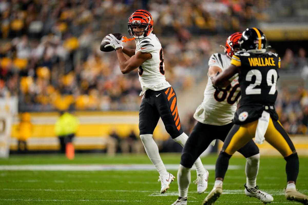 Look Cincinnati Bengals Week 17 Playoff Rooting Interest Broken Down