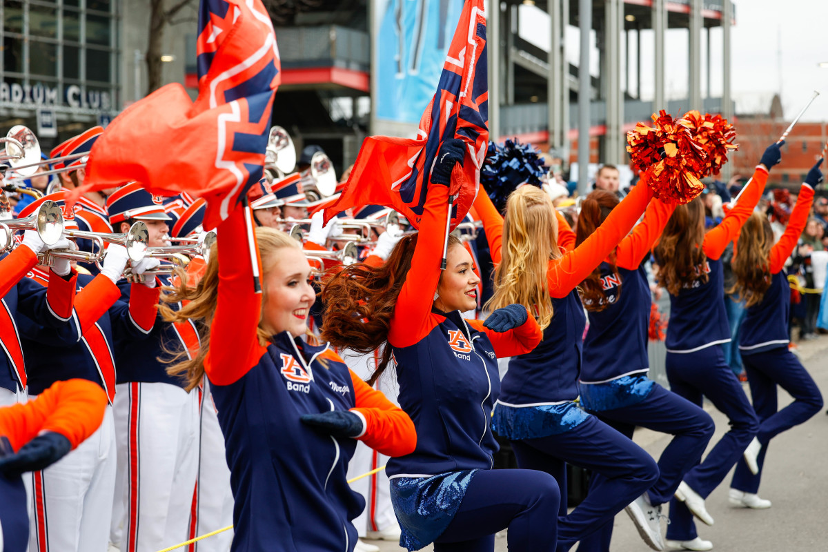 Tiger Walk