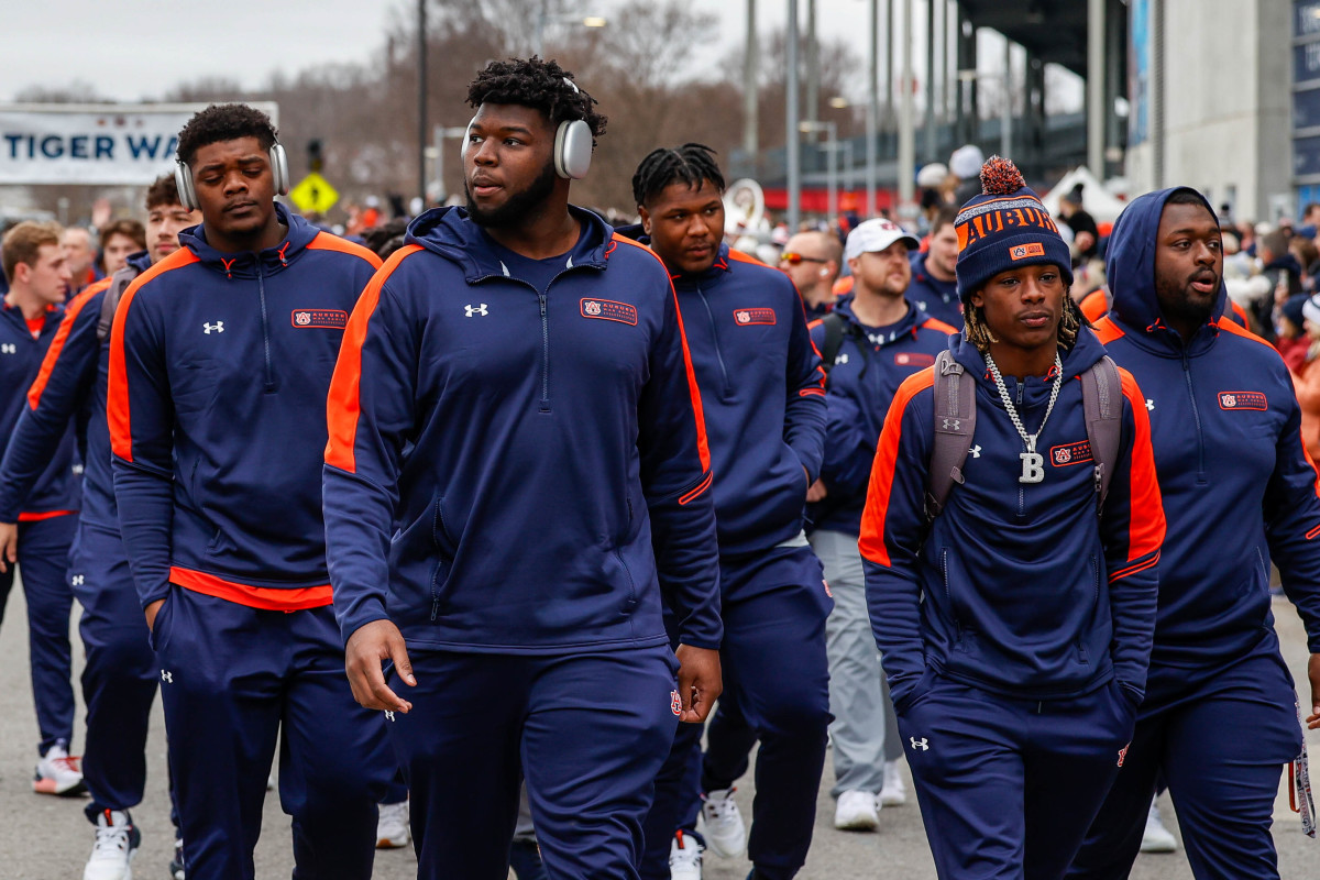 Tiger Walk