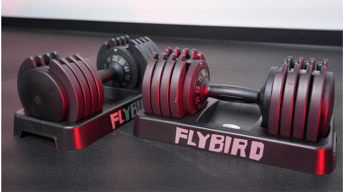 The Best Adjustable Dumbbells of 2024 - Sports Illustrated