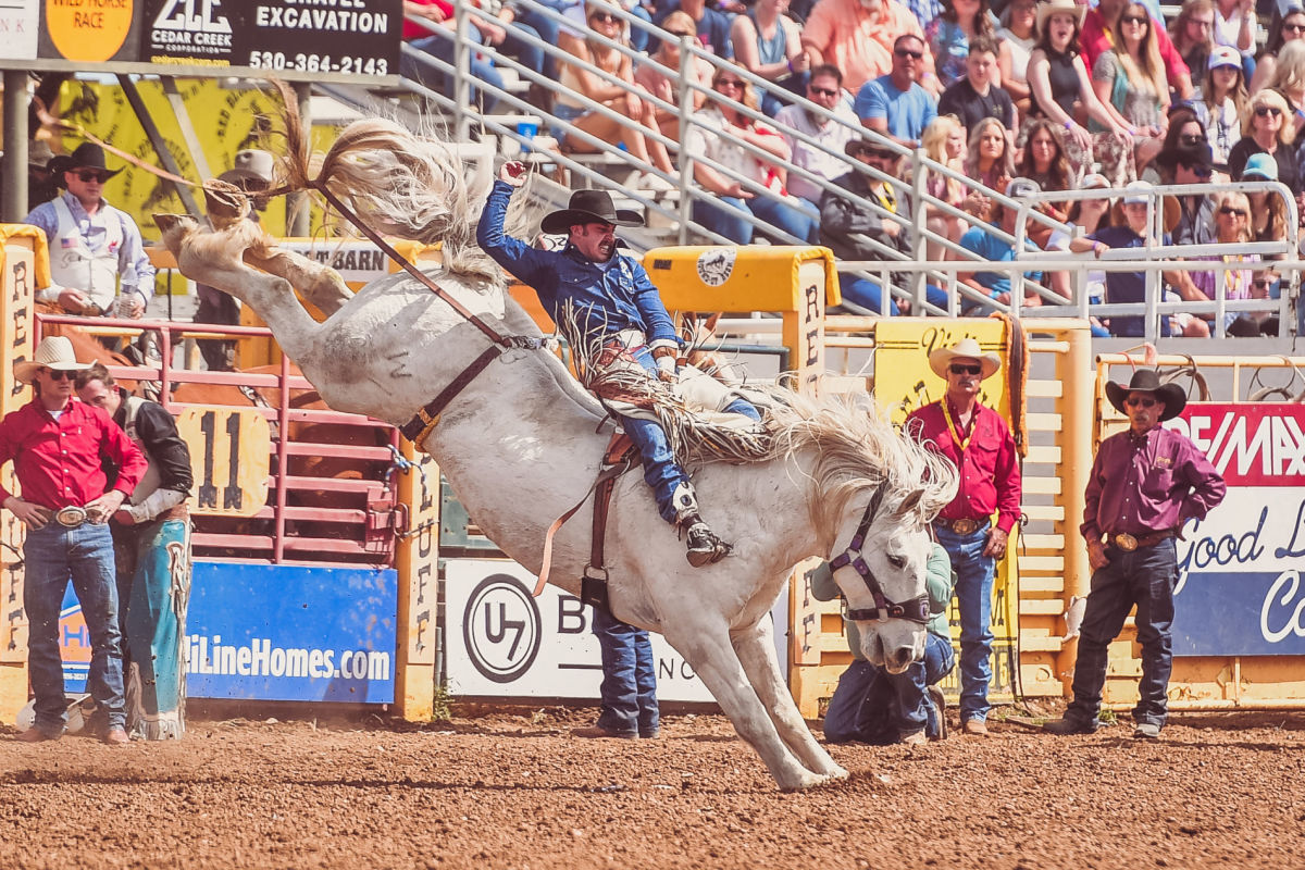 Donny Proffit on Virgil at the Red Bluff Round-Up