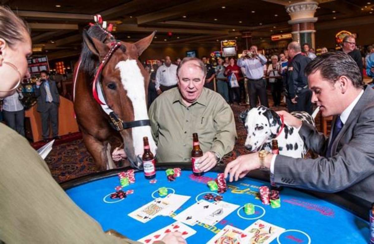 World-famous Budweiser Clydesdale Elite, South Point Owner Michael Gaughan, Budweiser Dalmatian King, and South Point GM Ryan Growney.