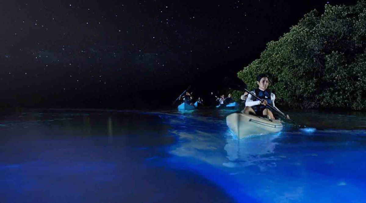 Paddling in Mosquito Bay in the island of Vieques