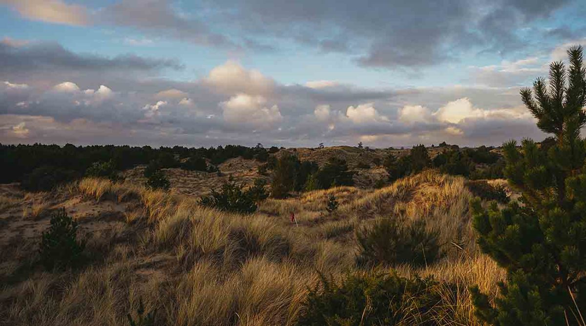 Land for the yet-to-be-named new par-3 course at Bandon Dunes resort.