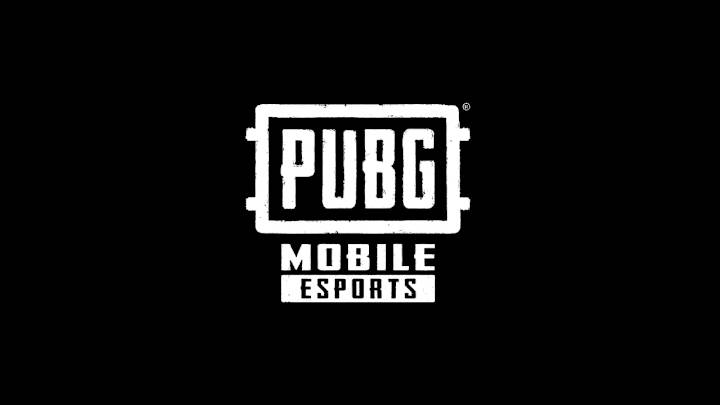 PUBG Mobile Esports Tournament Schedule Revealed