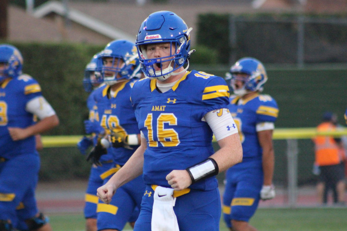 Luke McNulty (16), Bishop Amat quarterback. 