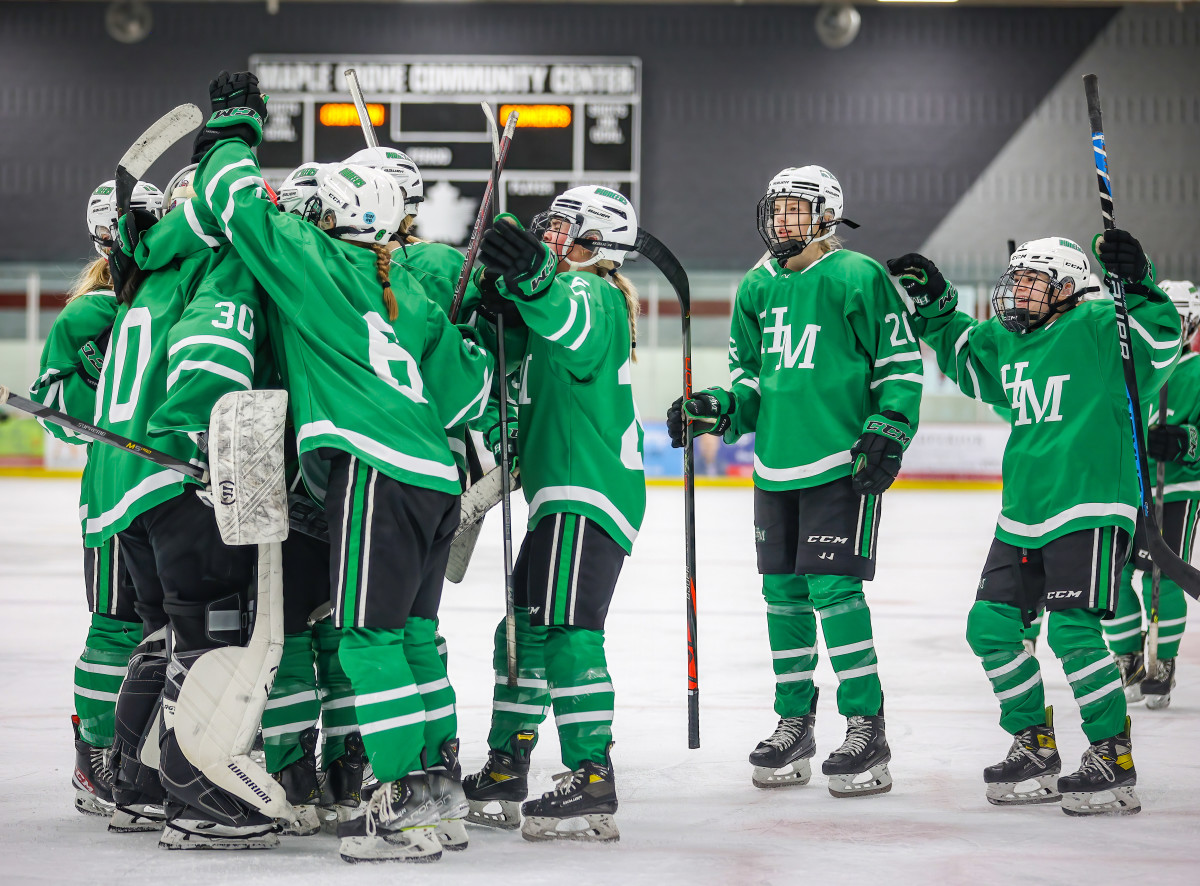 Minnesota high school girls hockey state tournament brackets Sports