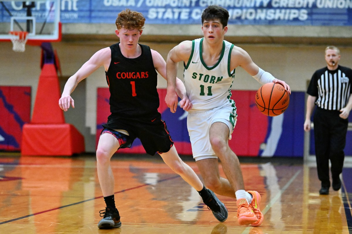 a Summit Mountain View 5A Oregon boys basketball quarterfinal 2024 Leon Neuschwander 45