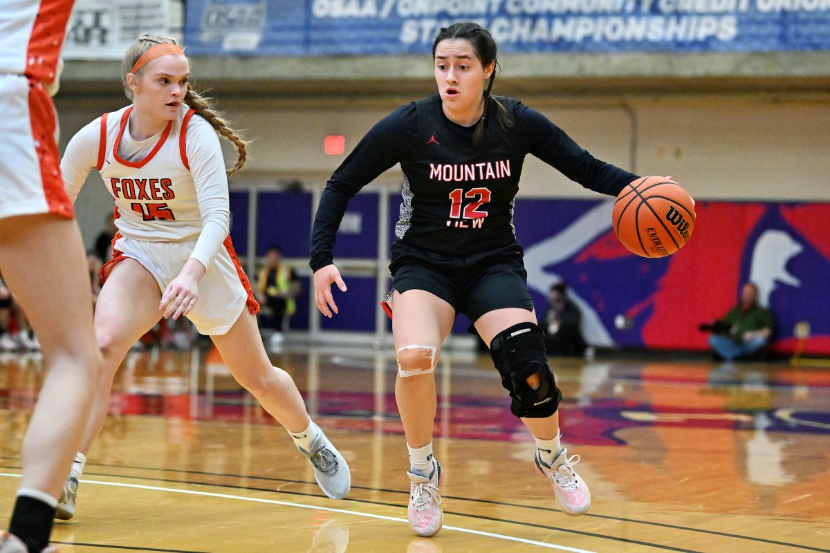 a Silverton Mountain View 5A Oregon girls basketball quarterfinal 2024 Leon Neuschwander 20