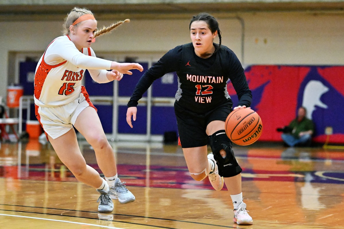 a Silverton Mountain View 5A Oregon girls basketball quarterfinal 2024 Leon Neuschwander 19