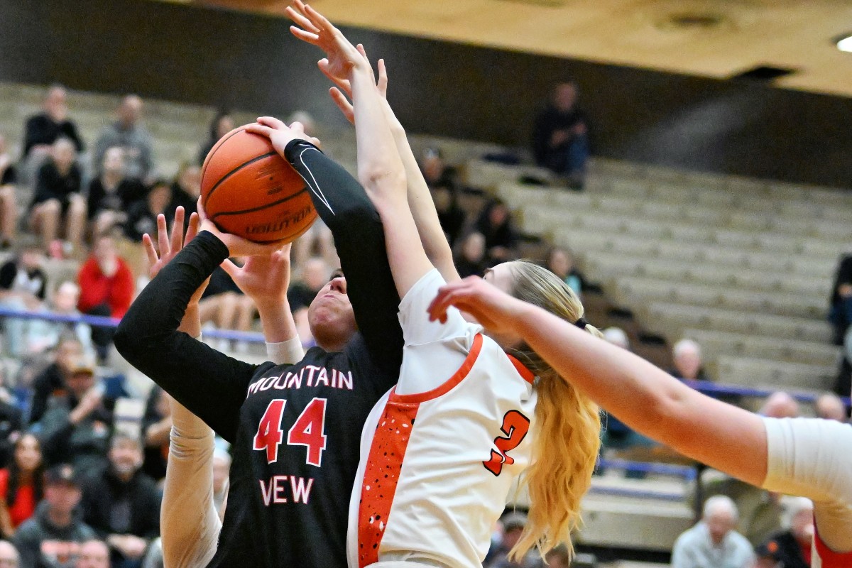 a Silverton Mountain View 5A Oregon girls basketball quarterfinal 2024 Leon Neuschwander 24