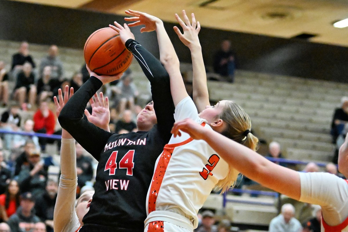 a Silverton Mountain View 5A Oregon girls basketball quarterfinal 2024 Leon Neuschwander 25