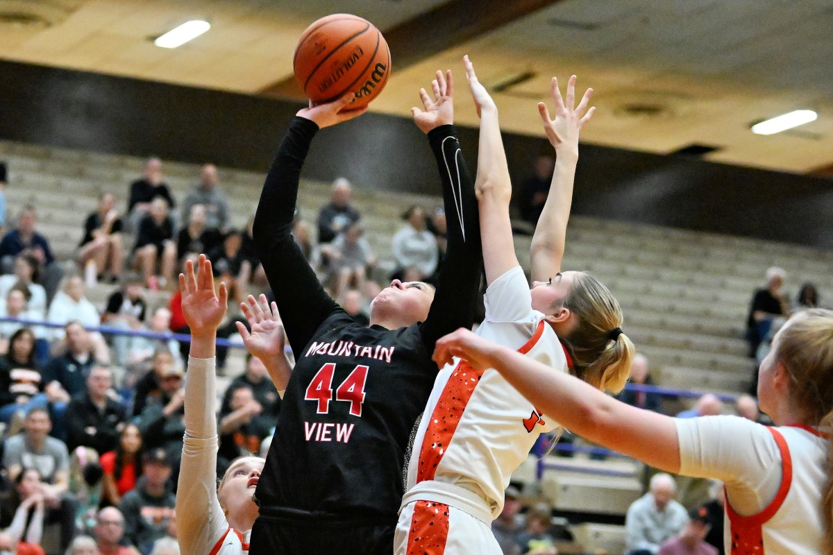 a Silverton Mountain View 5A Oregon girls basketball quarterfinal 2024 Leon Neuschwander 26