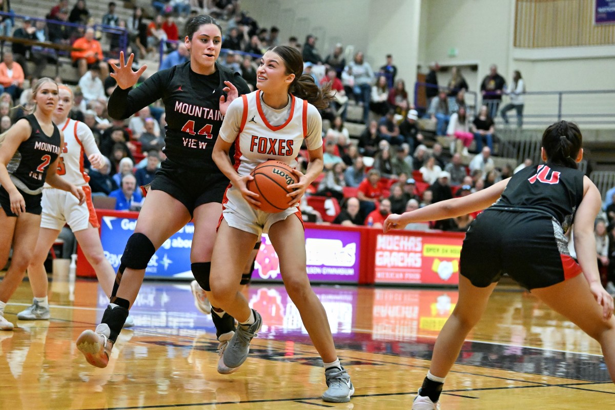 a Silverton Mountain View 5A Oregon girls basketball quarterfinal 2024 Leon Neuschwander 45