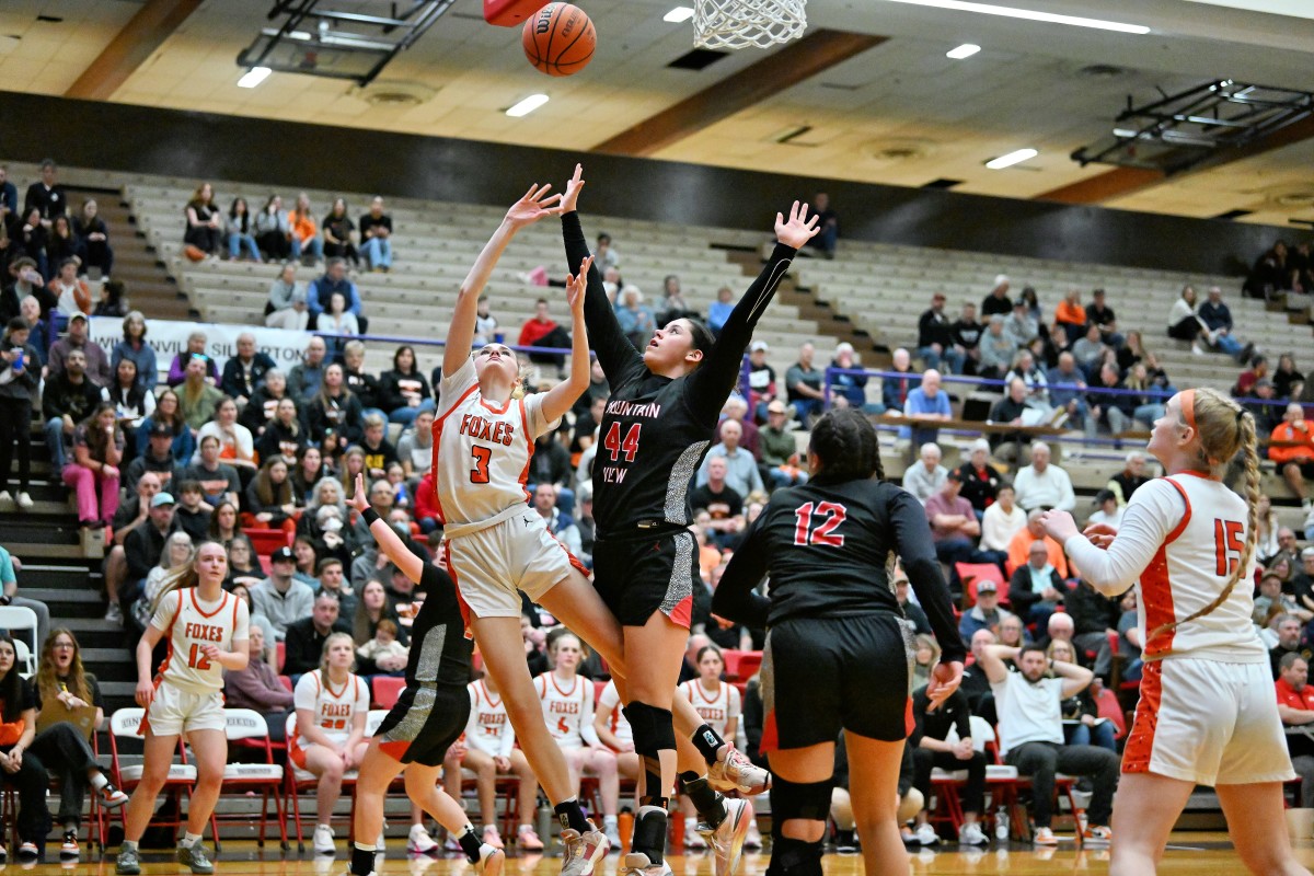 a Silverton Mountain View 5A Oregon girls basketball quarterfinal 2024 Leon Neuschwander 39