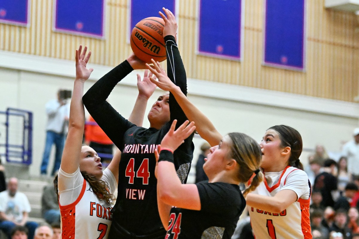 a Silverton Mountain View 5A Oregon girls basketball quarterfinal 2024 Leon Neuschwander 48