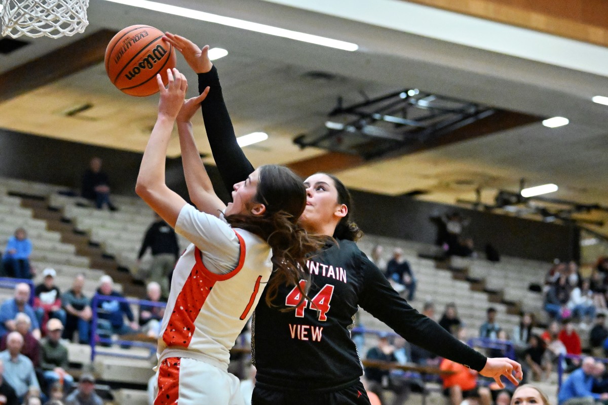 a Silverton Mountain View 5A Oregon girls basketball quarterfinal 2024 Leon Neuschwander 46