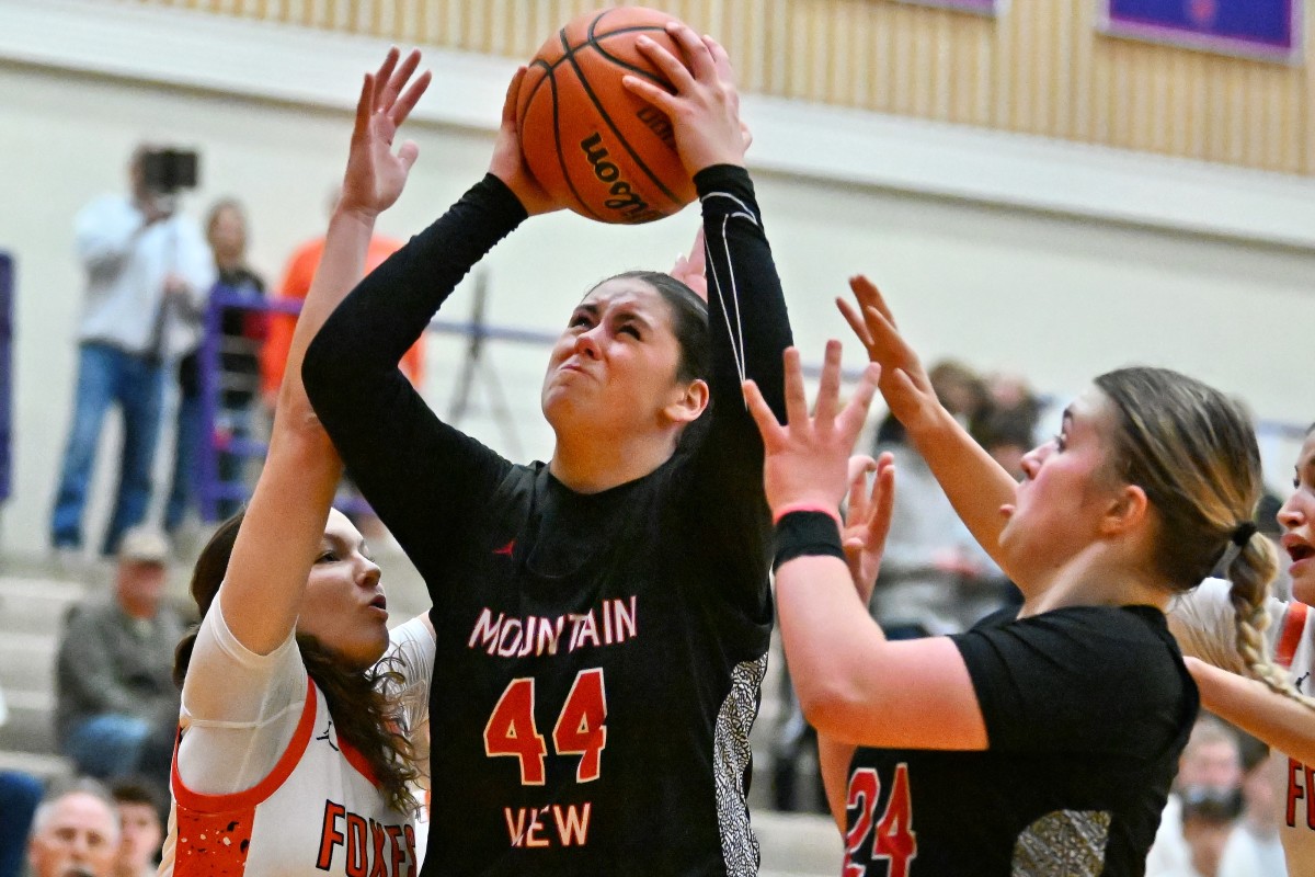 a Silverton Mountain View 5A Oregon girls basketball quarterfinal 2024 Leon Neuschwander 47