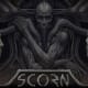   Scorn is self-descriptive.