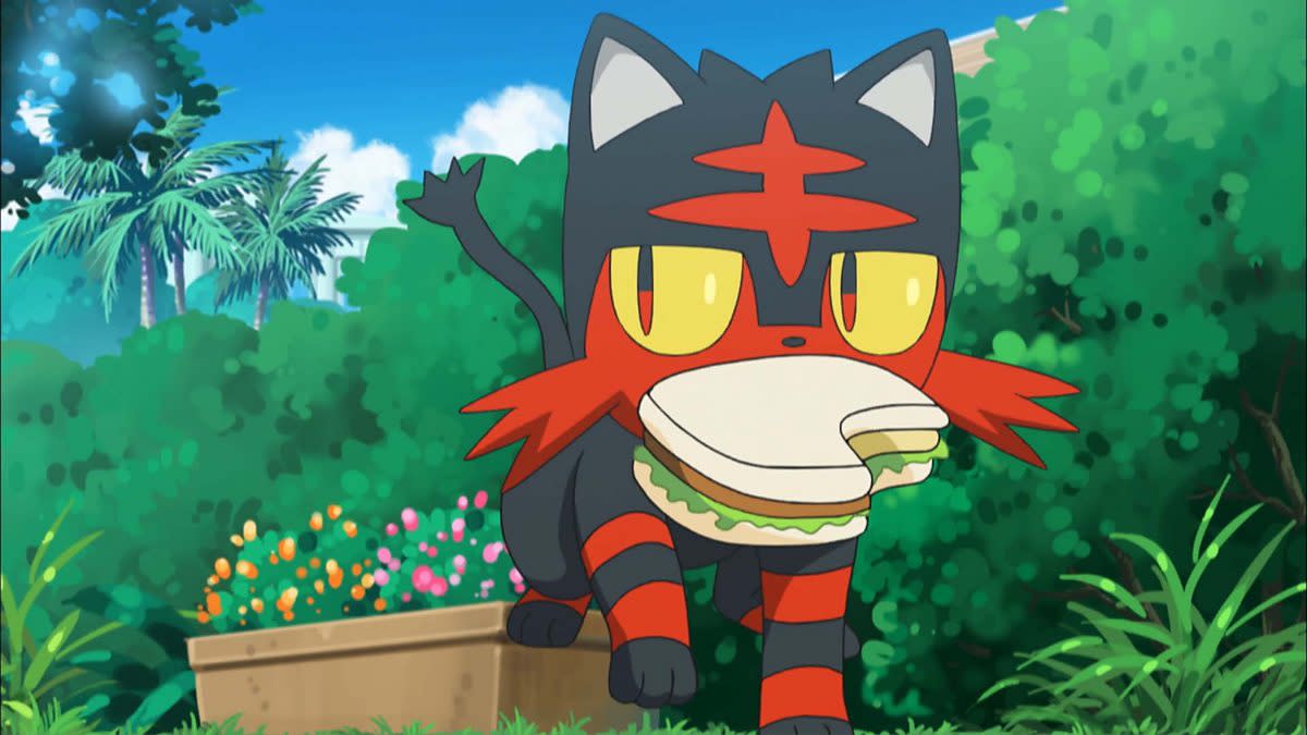 Pokemon Litten