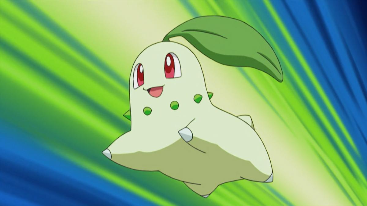 Pokemon Chikorita