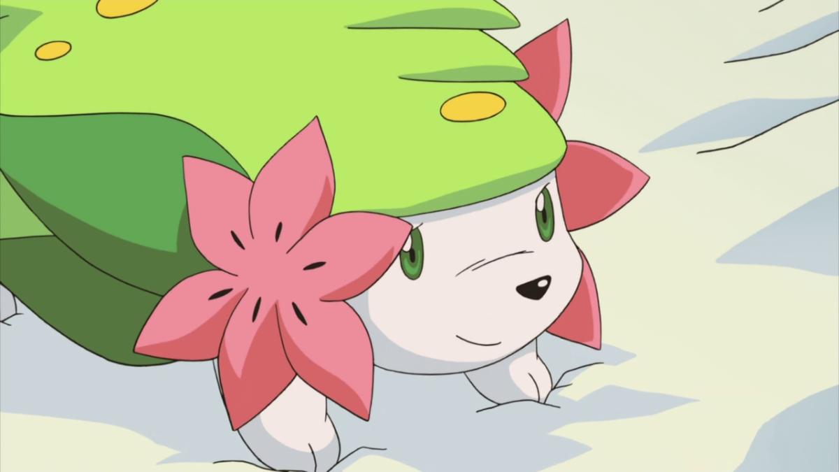 Shaymin from Pokémon.