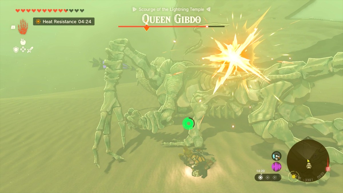 zelda tears of the kingdom lightning temple glhf (6)