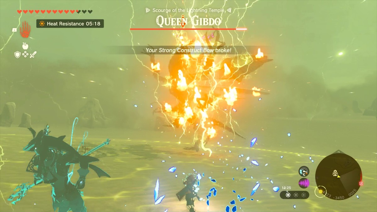 zelda tears of the kingdom lightning temple glhf (15)