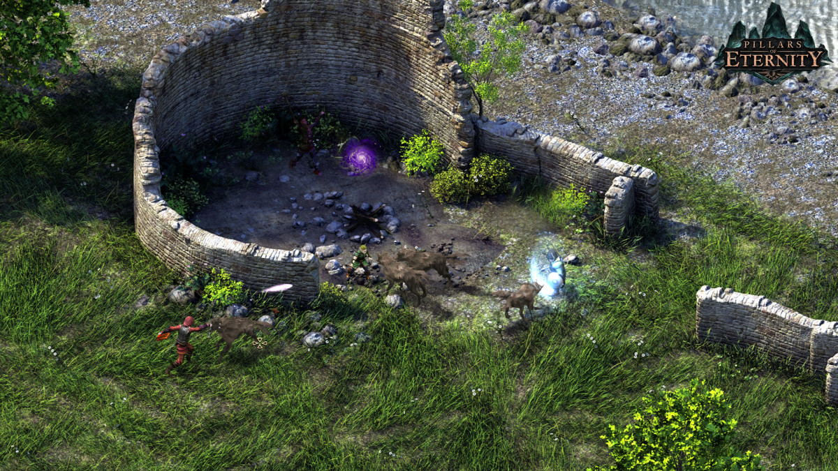 Pillars of Eternity 1 screenshot.